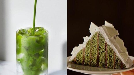 “없어서 못 팔아요”…제주산 말차 품귀에 식품업계 비상