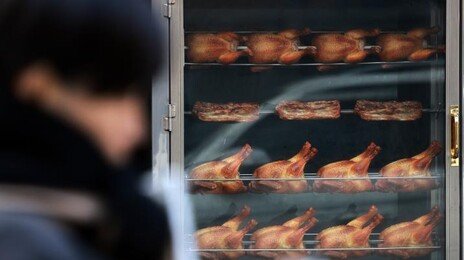 너도나도 뛰어든 치킨집…프랜차이즈 가맹점 3만 곳 첫 돌파