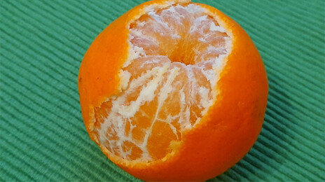 “주무르면 더 달콤해?”…진짜 ‘단맛’의 비밀 따로 있다