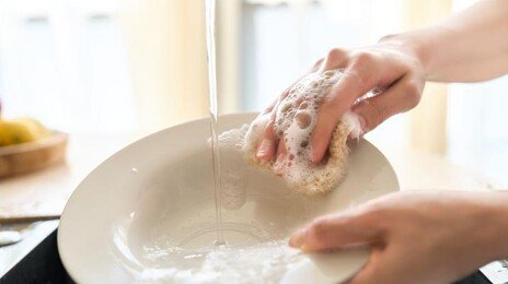 귀찮아서 물에 담가둔 그릇…식중독 세균의 ‘온천’ 된다