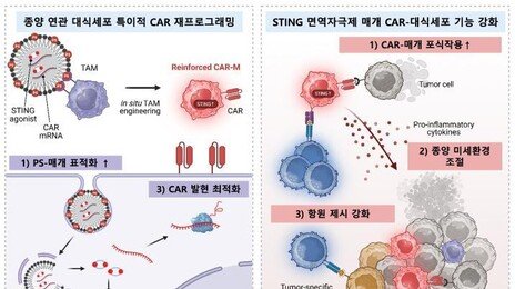 KAIST ‘면역세포 깨워 암 공격’ 새 치료법 개발