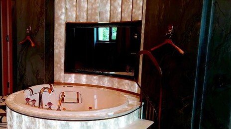 “푸틴 비밀궁전에 황금욕조-회춘용 냉동치료실”