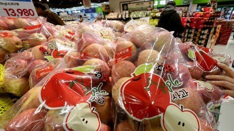 12월 물가 2.3% 상승…사과 19.6%·쌀 18.2% 급등