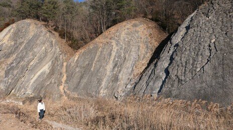 4억5000만 년 살아온 큰 바위에서 겸허함을 배우다