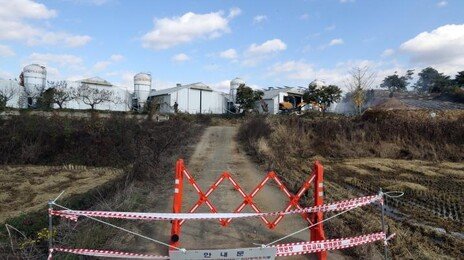 증평 산란계 농장서 H5형 AI 항원 검출…4만 마리 살처분 예정