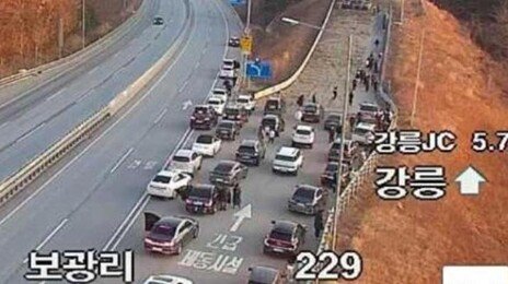차량 수십 대 주정차…긴급제동시설서 ‘해맞이’ 논란
