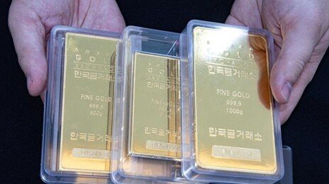 항문에 금괴 314㎏ 숨겨 밀수…벌금 136억원