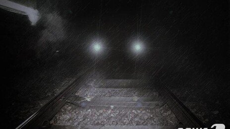 철로 빠진 승용차와 경의중앙선 열차 충돌…운전자는 대피