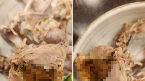 “한입 베어 물자 ‘닭똥’ 한가득”…송도 유명 삼계탕집 논란