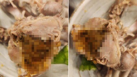 “한입 베어 물자 ‘닭똥’ 한가득”…송도 유명 삼계탕집 논란