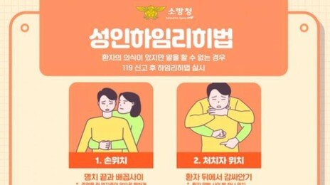 새해맞이 찹쌀떡 먹다 또 참변 …도쿄서만 7년간 36명 사망