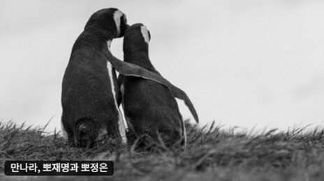 방중 마친 李대통령 “만나라, 뽀재명과 뽀정은”