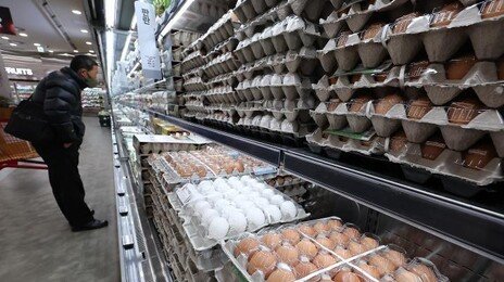 ‘에그플레이션’ 우려에 美달걀 224만개 이달 수입