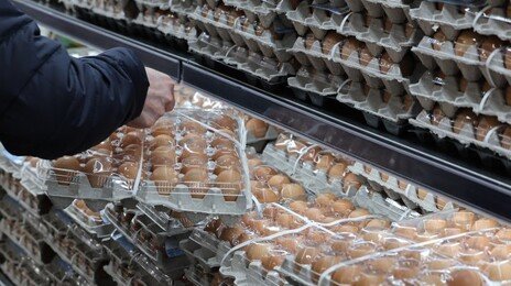 조류독감에 7000원대 ‘金란’… “볶음밥서 계란 빼야 하나”