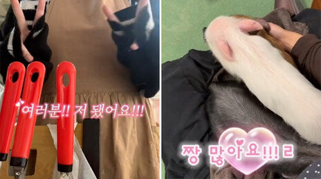 “저 됐어요!”…쇼츠 켜면 들리는 그 목소리 정체는?