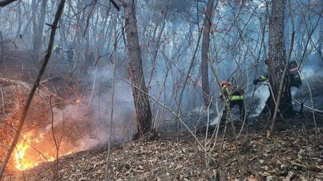 경북 의성 산불 주불진화…“야간 잔불 정리”