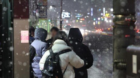 밤새 강원서 20cm 넘는 눈폭탄…여객선 49척 운항 중단