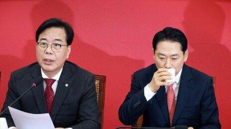 국힘 “제주항공 참사, 수사 지연은 민주당 책임있기 때문”