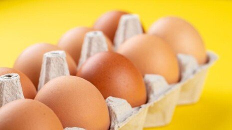 ‘金란’ 된 생계란, 삶아 두면 더 오래 먹을 수 있을까?