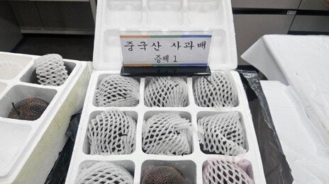 중국산 농산물 검역 안받고 불법 수입…1150t 들여온 일당 적발