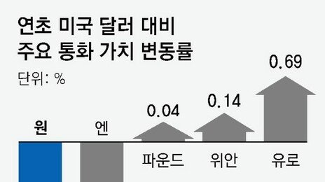 수출입 업체 101곳 불법 외환거래 적발… 무신고 해외보관 많아
