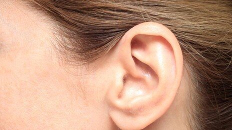 추워서 그런줄 알았는데…귀 안쪽 쿡쿡 통증의 ‘정체’