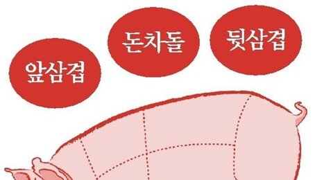 [횡설수설/우경임]앞삼겹, 돈차돌, 뒷삼겹