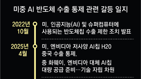 반도체 자립 노리는 中, 美가 팔겠다는 엔비디아 칩 수입 제한