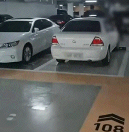 “차 때리면 어쩌려고”…지하주차장서 테니스 연습 눈살