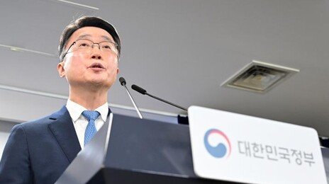 네이버 이어 카카오·NC도 “독자 AI 재도전 계획 없다”