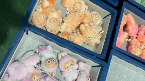 ‘라부부’ 만드는 中공장서…“미성년자 혹사에 성희롱-폭언”