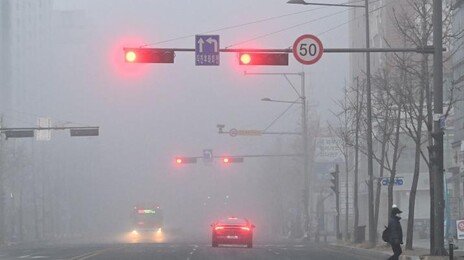 짙은 안개에 서해안고속도로서 4중 추돌 사고…1명 부상