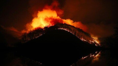 ‘역대 최악’ 경북 산불 유발한 2명, 1심서 집유…“고의 아닌 과실”
