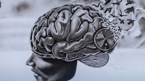 국내 연구진 “혈액검사로 치매 위험 10년 앞서 예측”