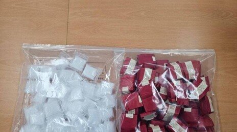 필로폰 4만명분 ‘차 티백’ 속에 밀반입한 중국인…징역 15년 구형