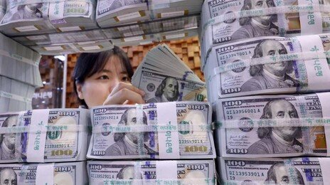 IMF의 경고…韓 환리스크 달러자산, 외환시장 규모의 25배