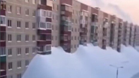 “스키장 아니고 아파트 단지”…종말 영화처럼 눈 내려