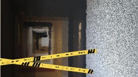 아픈 친형 살해 뒤 치매 모친에 흉기 휘두른 50대…“생활고 시달렸다”