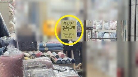 이불 가게까지 “두쫀쿠 있어요”…식품판매 허가는 받았나?