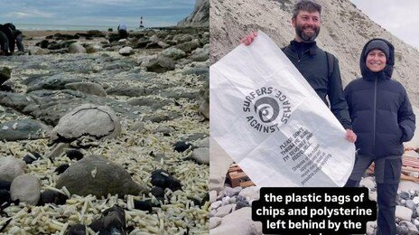 감자튀김으로 뒤덮인 英 해변…“화물선 실수에 생태계 파괴 우려”