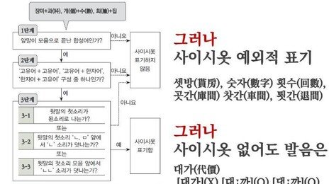 “댓가·대가, 횟수·회수, 회집·횟집 헷갈려”…‘사이시옷’ 38년 만에 손질한다