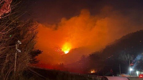 광양 산불 진화 작업 난항…국가소방동원령 발령