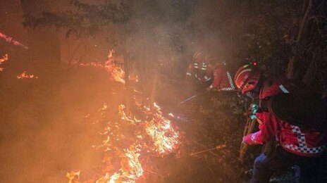 부산 기장 산불 밤새 이어져…진화율 65%, 헬기 13대 투입