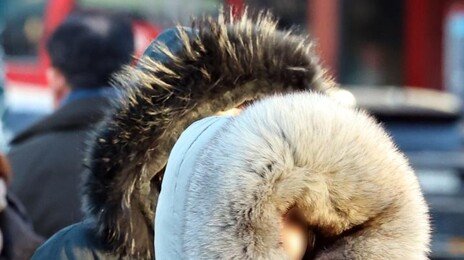 ‘한파 절정’ 오늘 아침 철원 영하 24도…주말까지 맹추위 전망