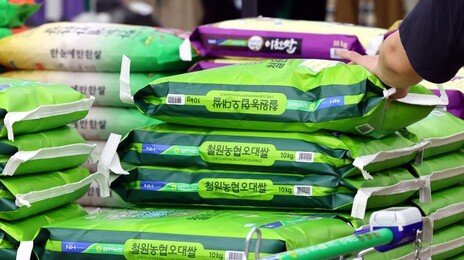 한국인 더이상 ‘쌀밥’ 안먹는다…“역대 최저” 30년만에 절반 줄어