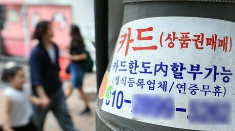 소액연체 갚은 292만명 ‘신용 사면’…“대출·카드발급 가능”