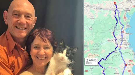 “주인 찾아 260km 국경 질주” 5개월 만에 고양이가 돌아와