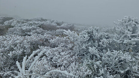 서울에 대설주의보…밤사이 최고 5cm