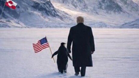 또 성조기 꽂았다…그린란드 확보에 야욕 드러내는 트럼프
