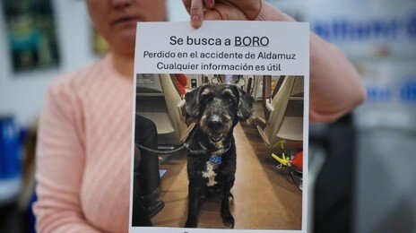 스페인 열차 참사 때 실종된 반려견, 나흘 만에 가족 품으로